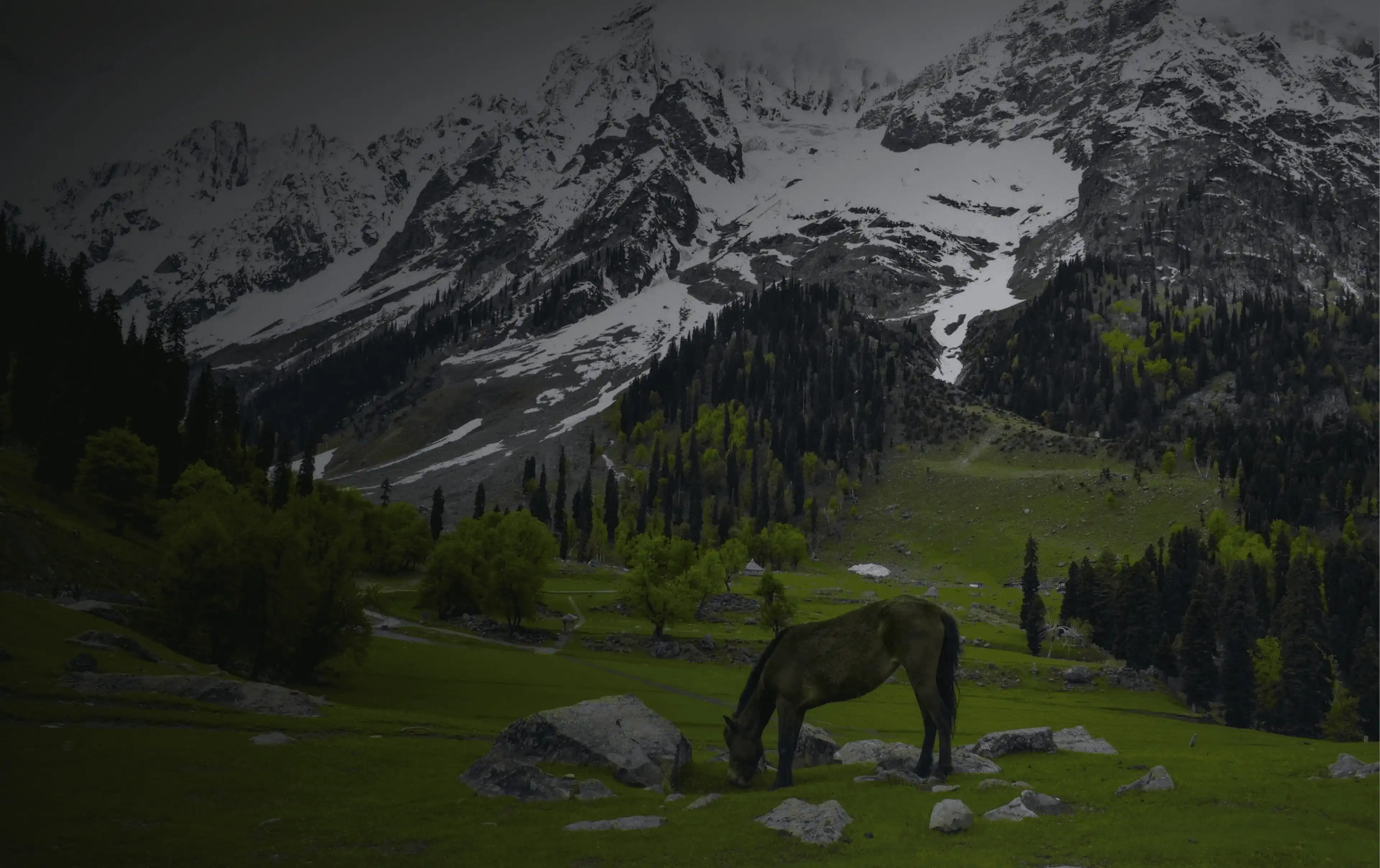Himalayan Explorer Package