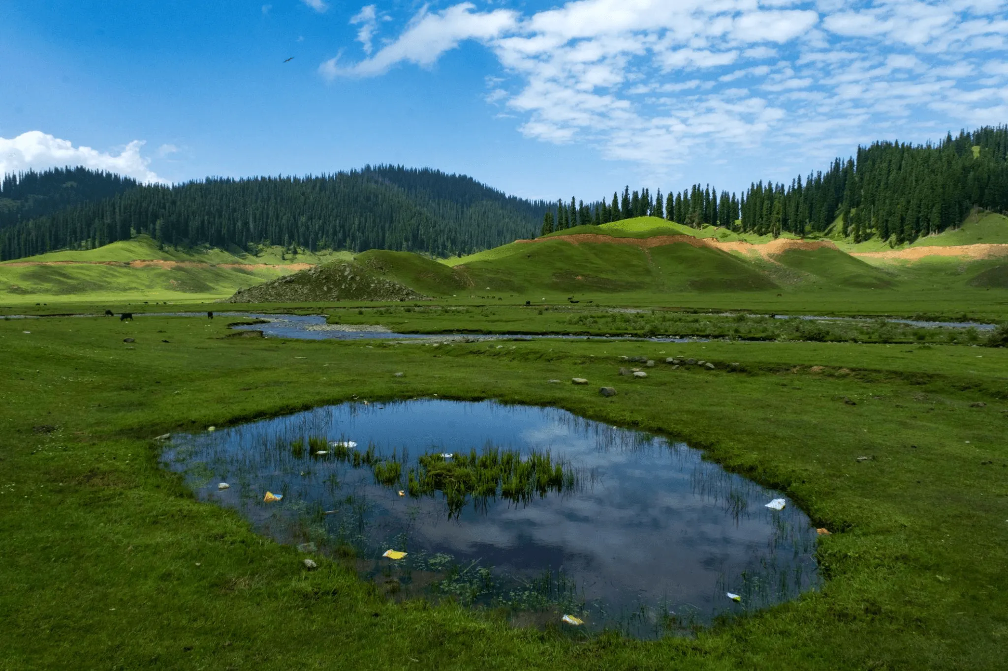 Aru Valley