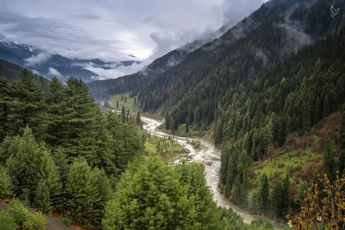 Sonmarg